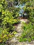 Punta Galindez - VIEQUES